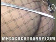Tranny Mayza Silva Tugging Her Cock