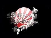 Japanese Shemale Serina Classroom Wank