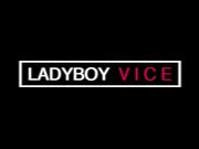 Ladyboy Vice - Madonna How Could You Turn This Down?